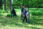 2012-06-10 Hohenroth 158.jpg